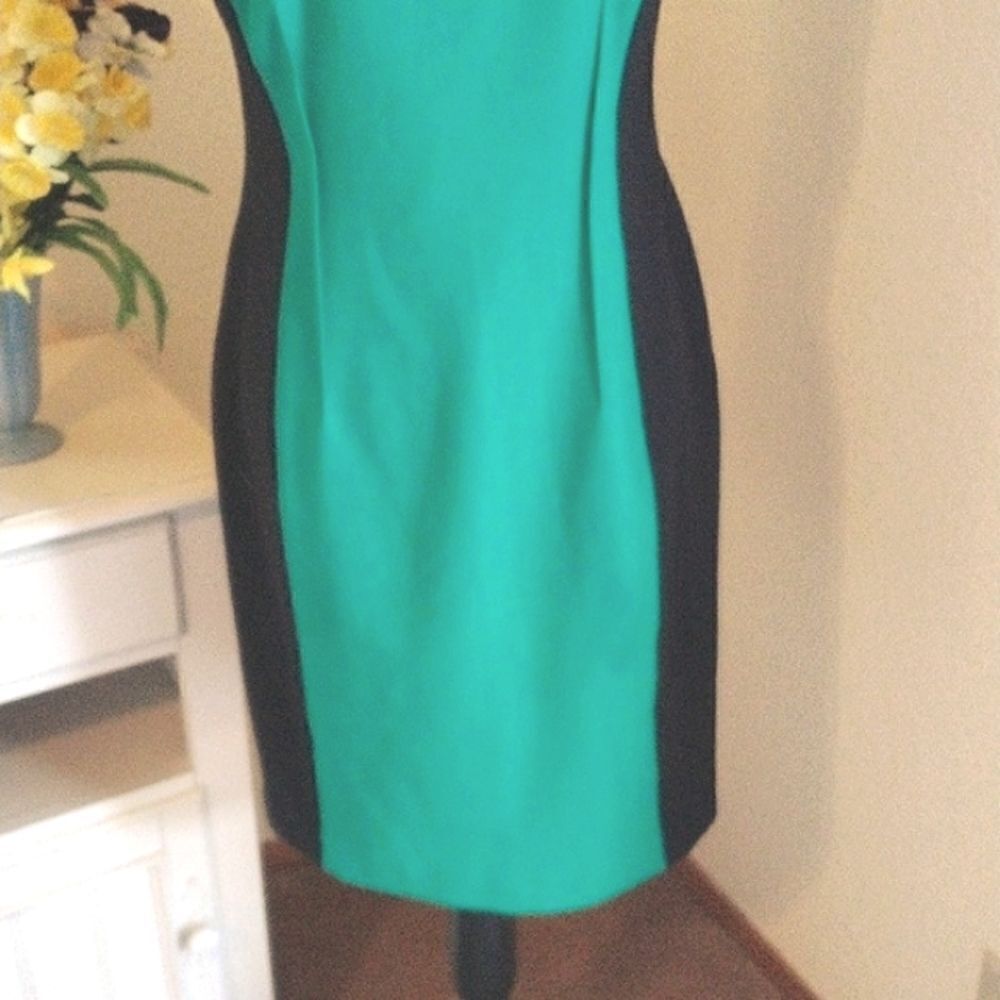 Calvin Klein Colorblock Dress - Picture 3 of 9